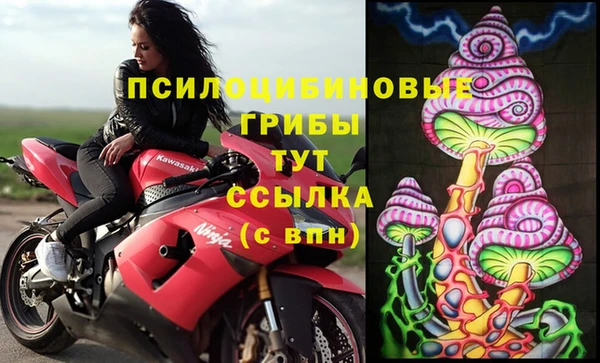 крисы Армянск