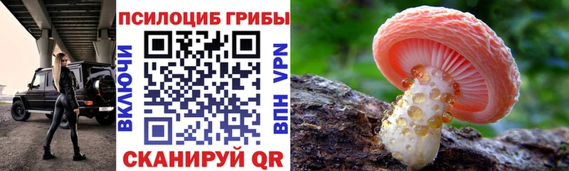 Псилоцибиновые грибы Cubensis  Купить закладки  Мосальск 